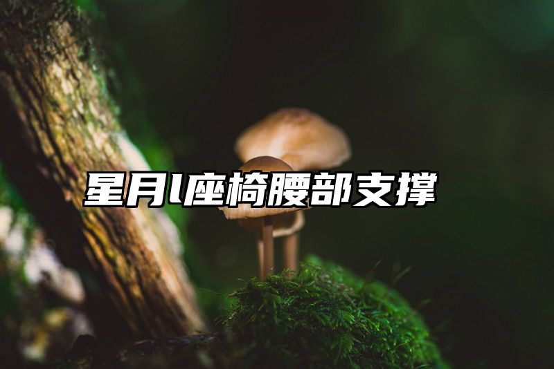 星月l座椅腰部支撑