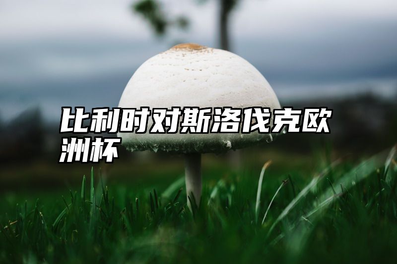 点击查看《比利时对斯洛伐克欧洲杯》全文