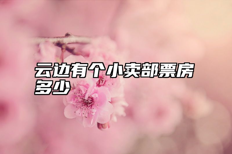 云边有个小卖部票房多少