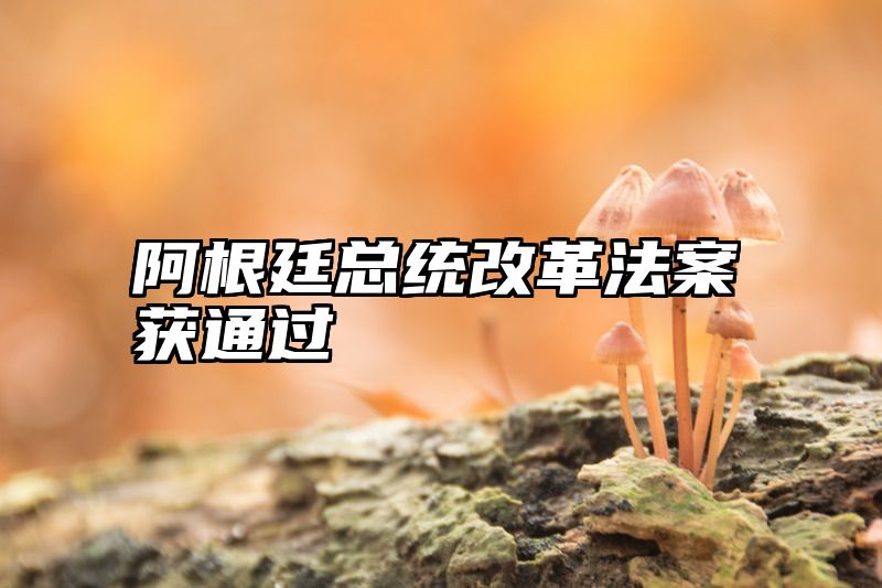 阿根廷总统改革法案获通过