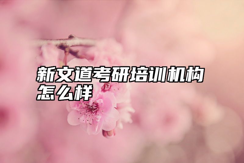 新文道考研培训机构怎么样