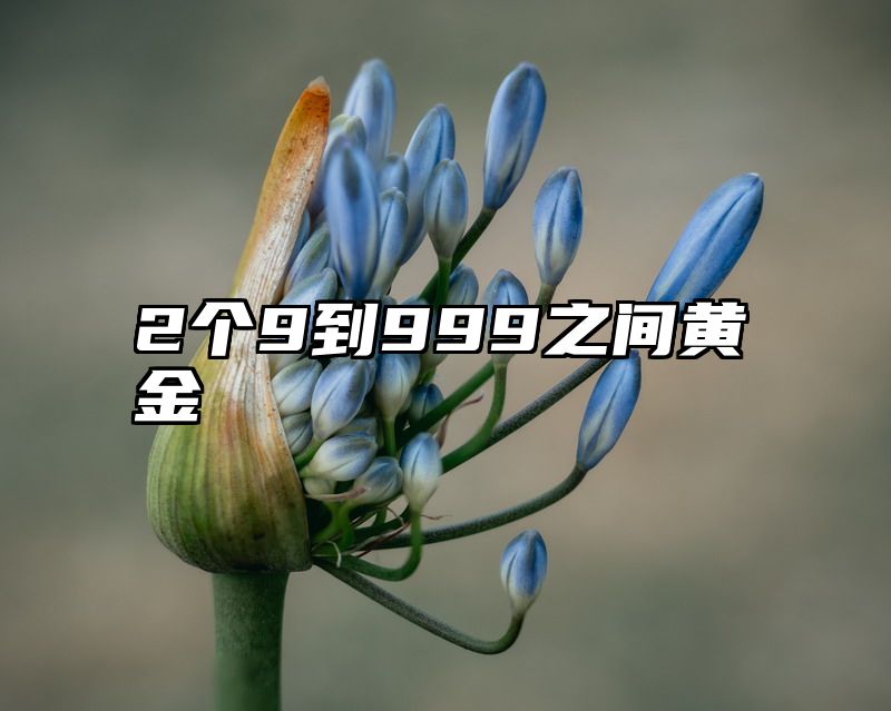 2个9到999之间黄金