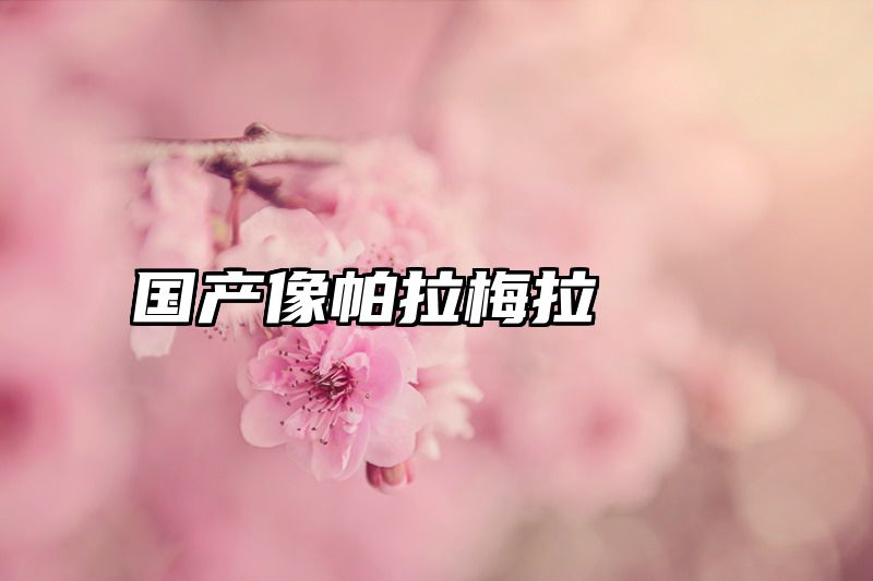 国产像帕拉梅拉