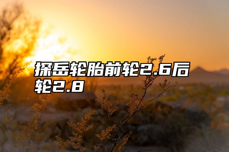 探岳轮胎前轮2.6后轮2.8