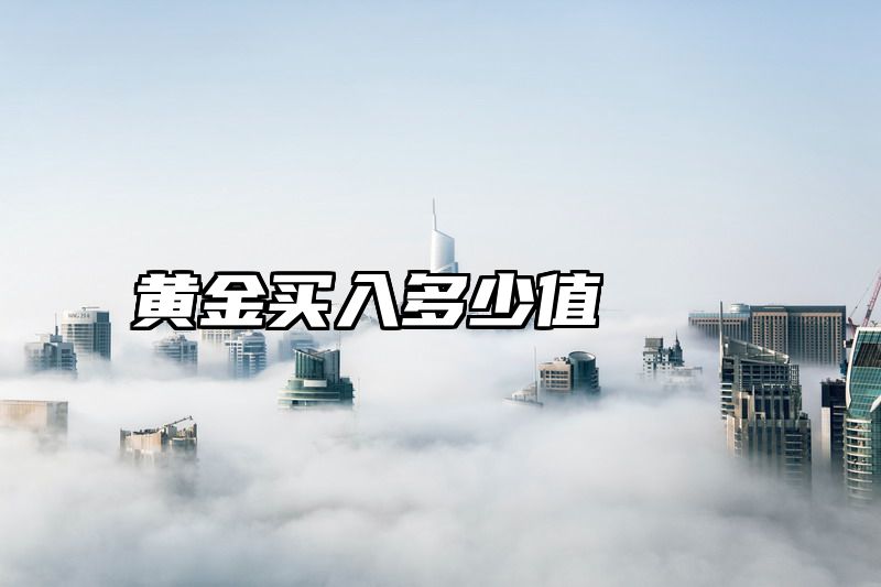 黄金买入多少值
