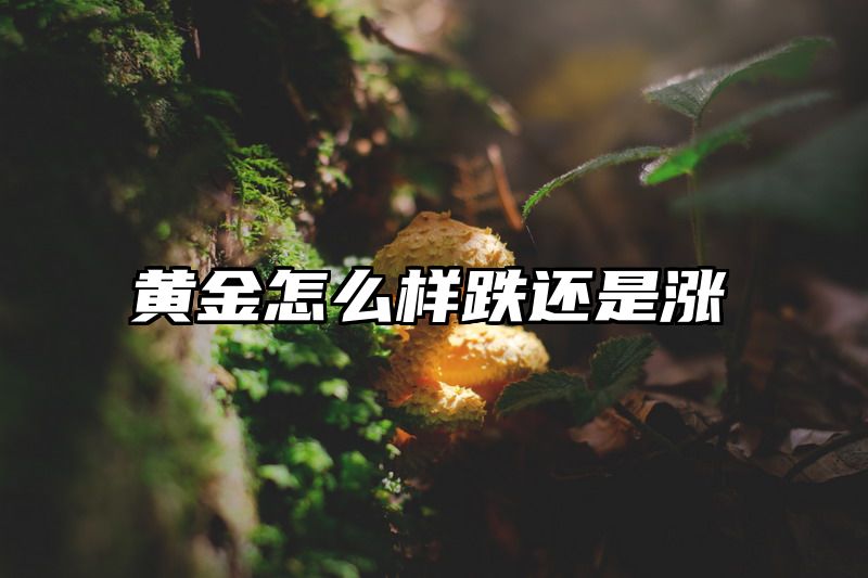 黄金怎么样跌还是涨