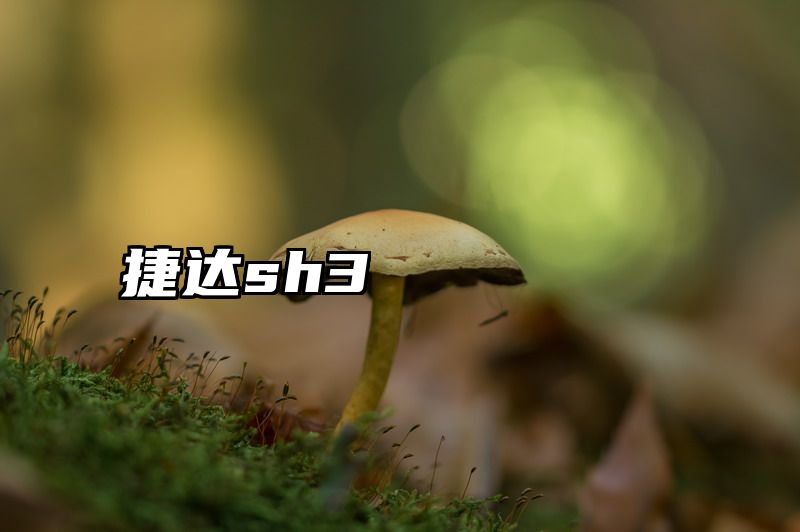 捷达sh3