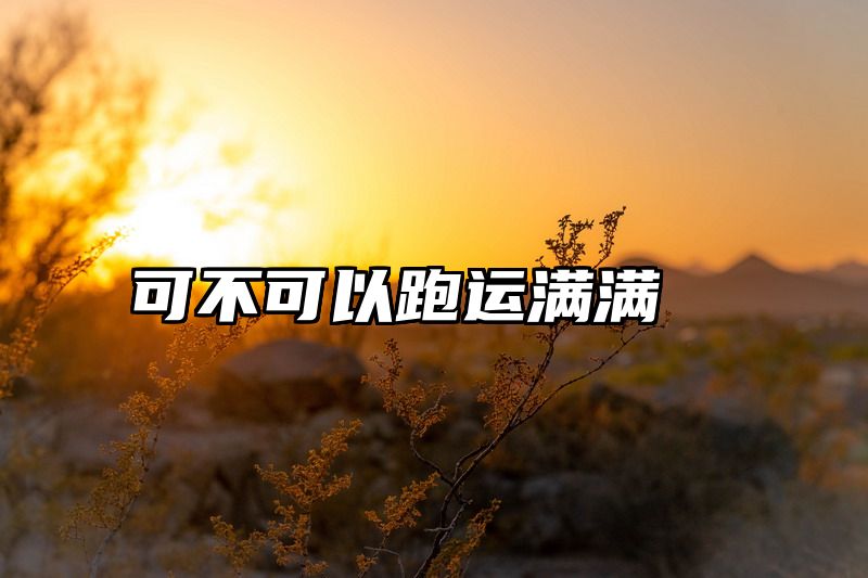 可不可以跑运满满