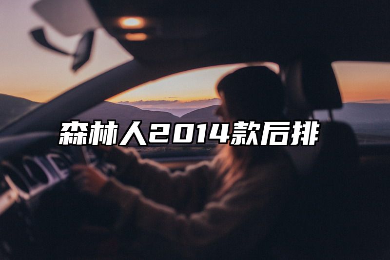 森林人2014款后排