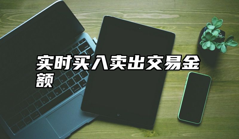 实时买入卖出交易金额