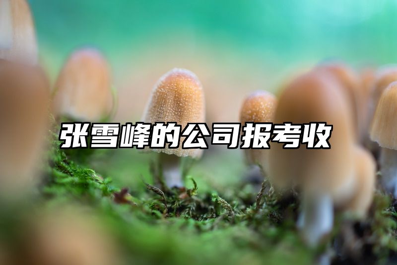 点击查看《张雪峰的公司报考收》全文