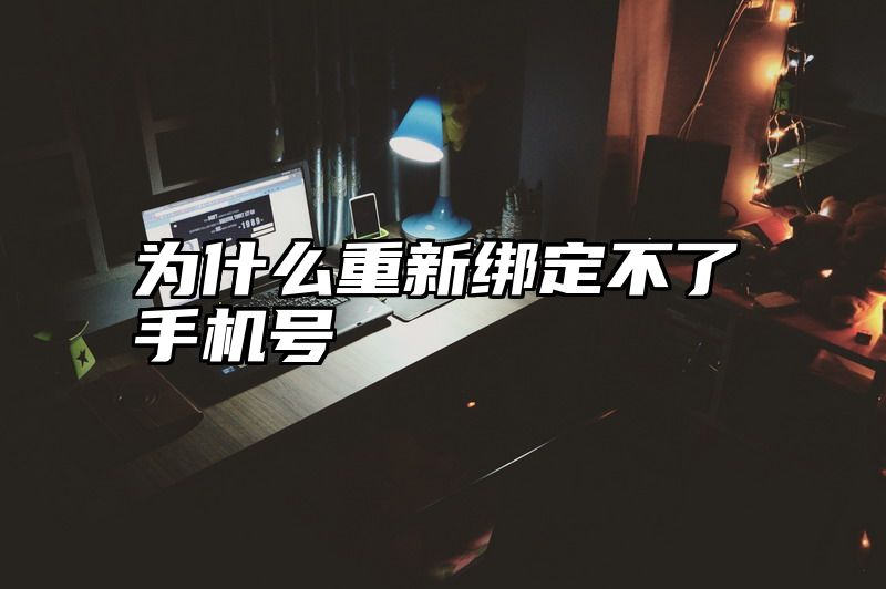 为什么重新绑定不了手机号