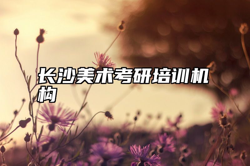 长沙美术考研培训机构