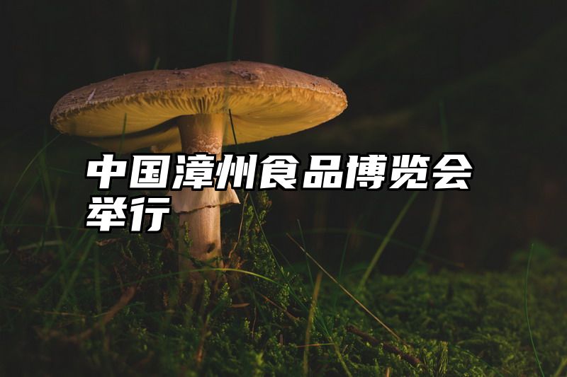 中国漳州食品博览会举行