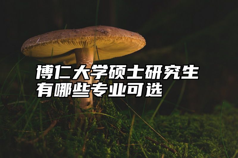 博仁大学硕士研究生有哪些专业可选