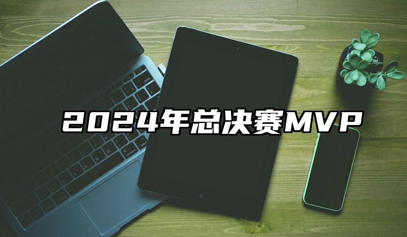 2024年总决赛MVP