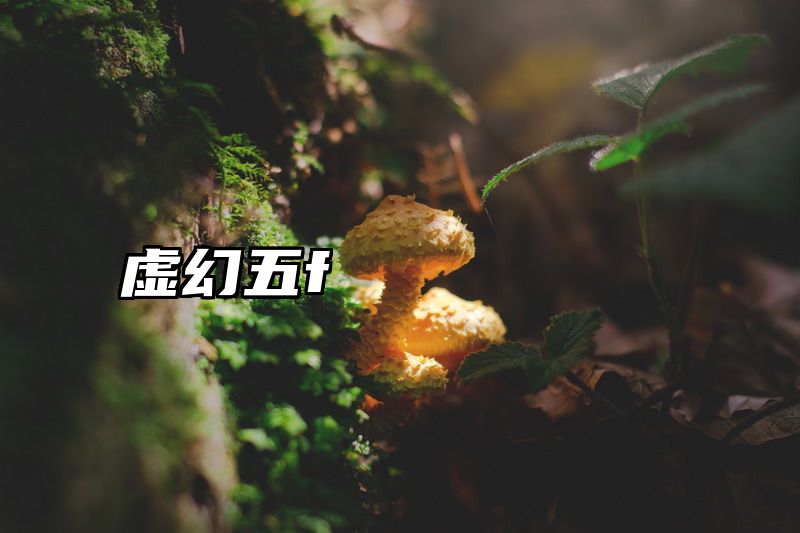 虚幻五f