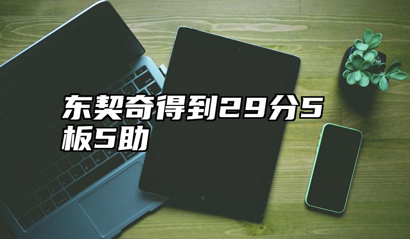 东契奇得到29分5板5助