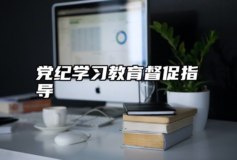 党纪学习教育督促指导