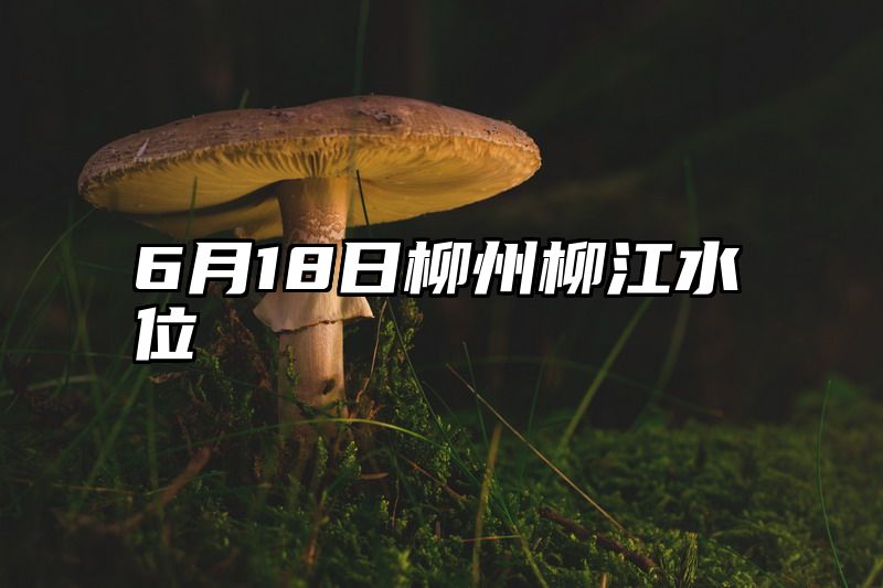 6月18日柳州柳江水位