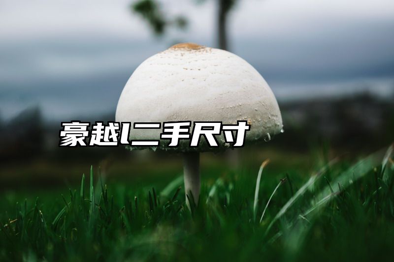 点击查看《豪越l二手尺寸》全文