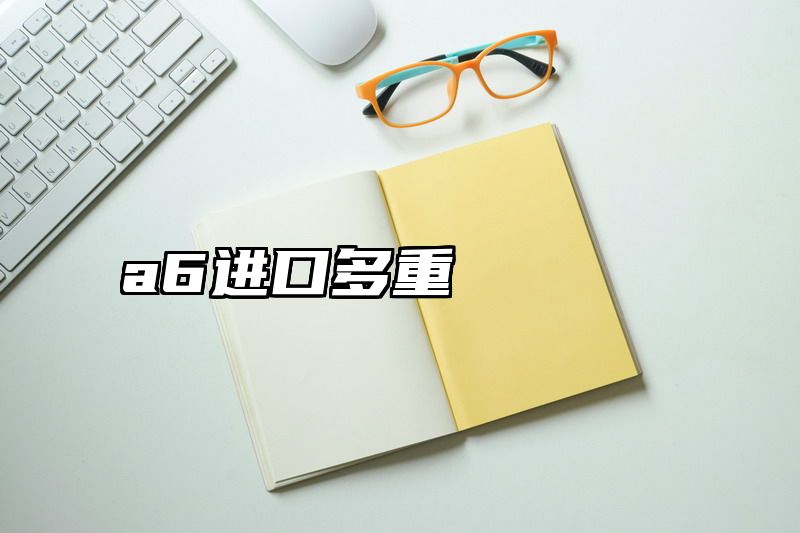 a6进口多重