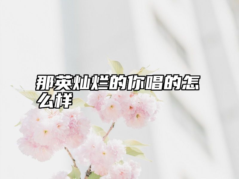 那英灿烂的你唱的怎么样