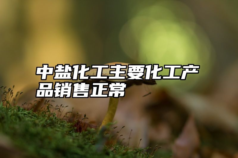 中盐化工主要化工产品销售正常