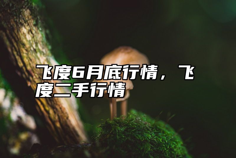 飞度6月底行情，飞度二手行情