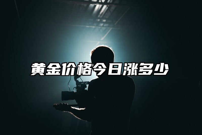 黄金价格今日涨多少