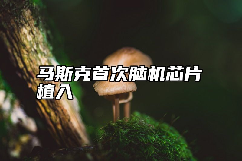 点击查看《马斯克首次脑机芯片植入》全文
