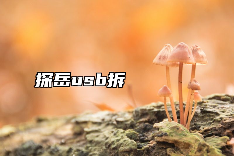 探岳usb拆