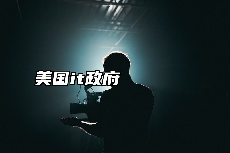 美国it政府