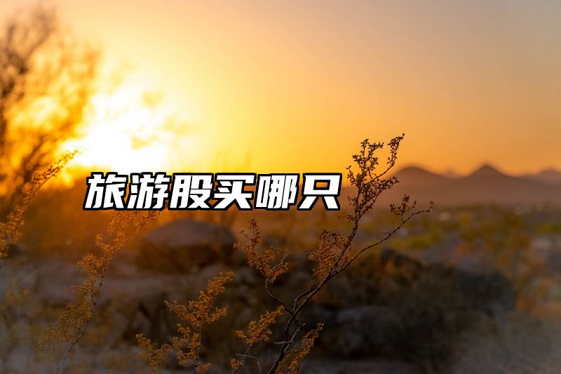 旅游股买哪只
