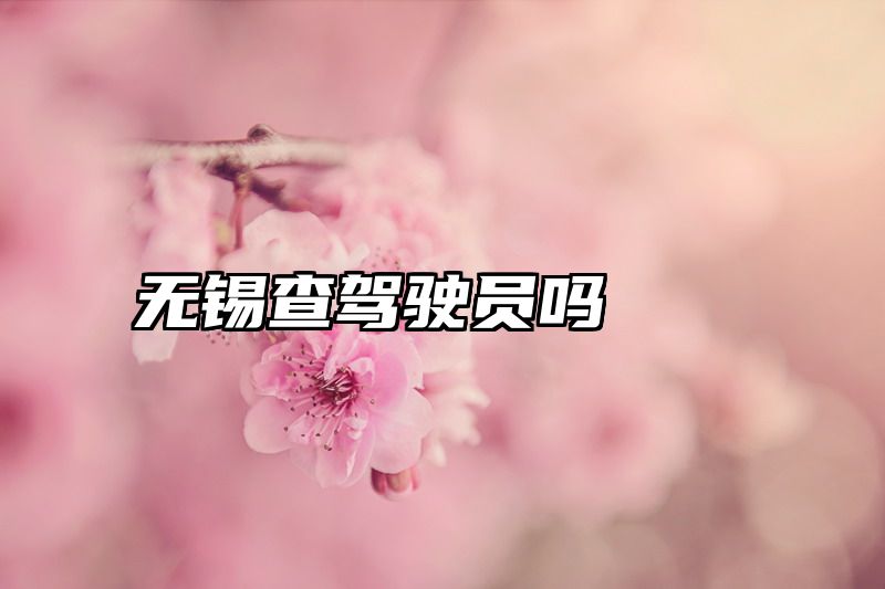无锡查驾驶员吗