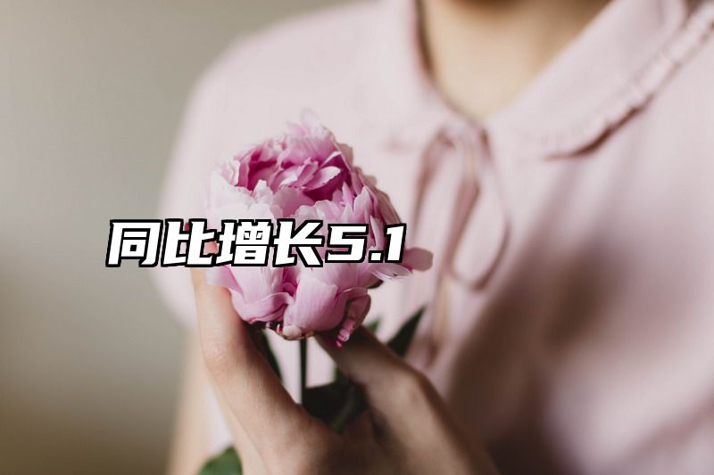 同比增长5.1