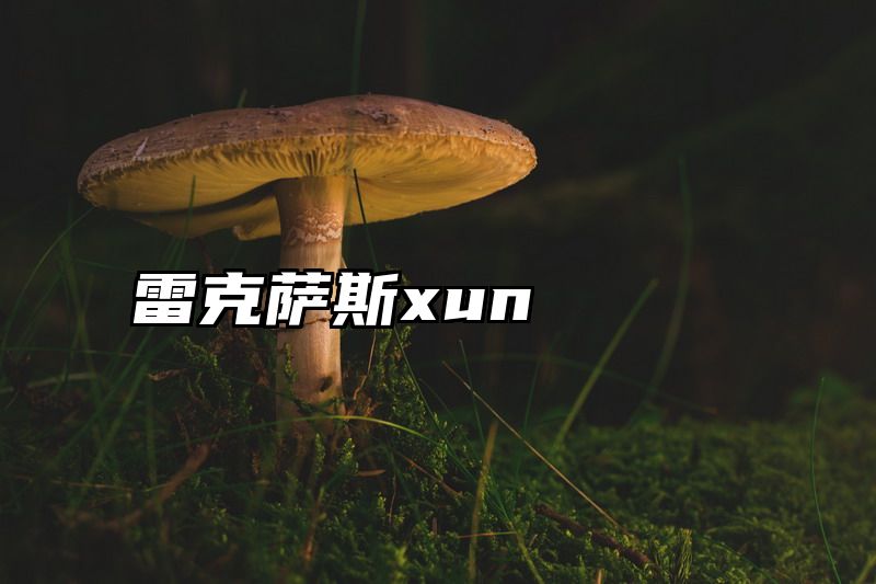 雷克萨斯xun