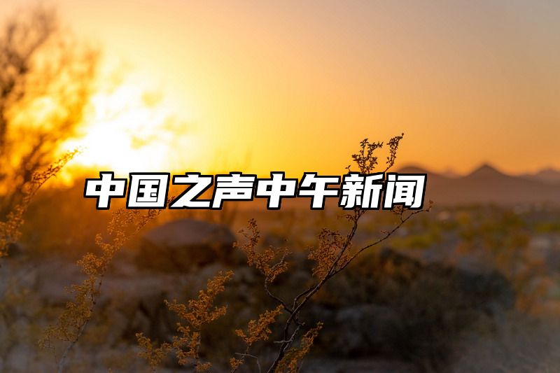 中国之声中午新闻