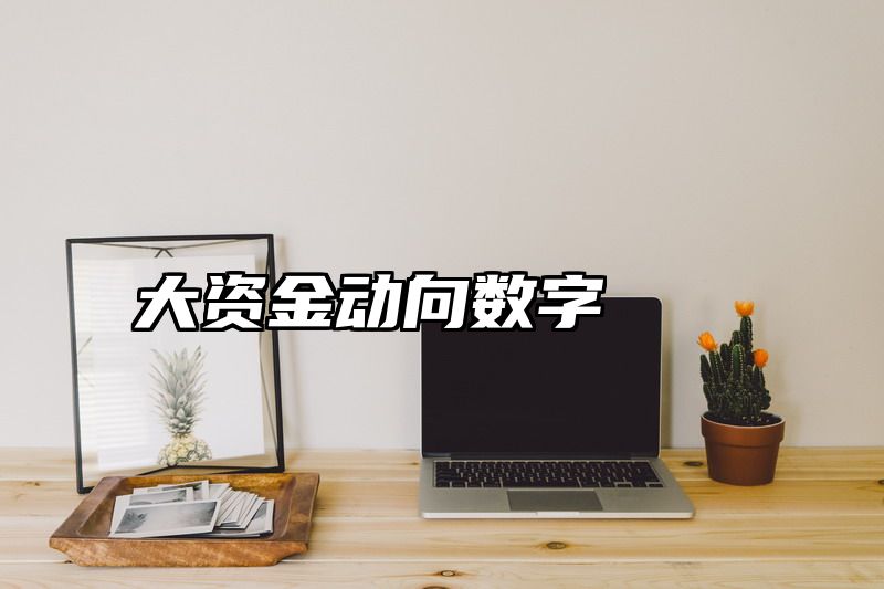 大资金动向数字