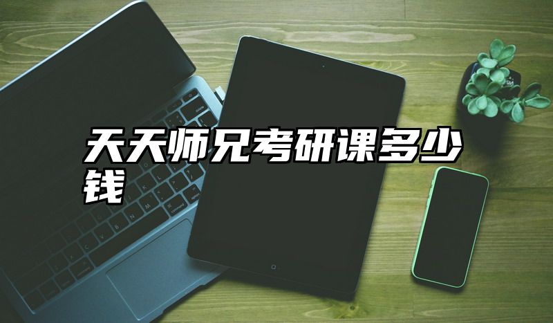点击查看《天天师兄考研课多少钱》全文