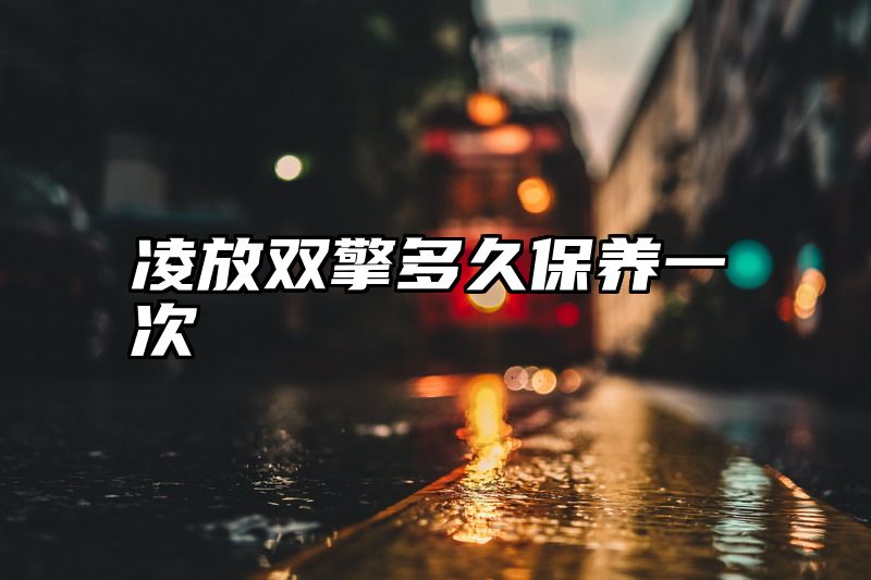 凌放双擎多久保养一次