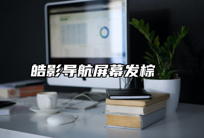 皓影导航屏幕发棕