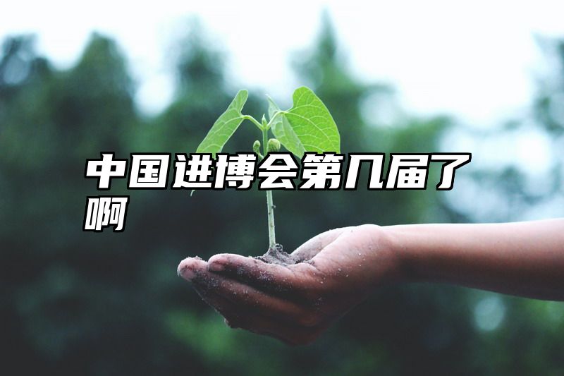 中国进博会第几届了啊