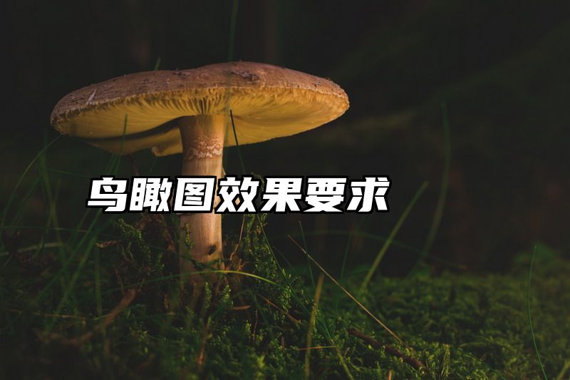鸟瞰图效果要求