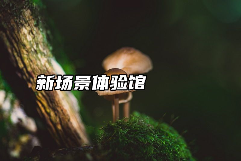 新场景体验馆