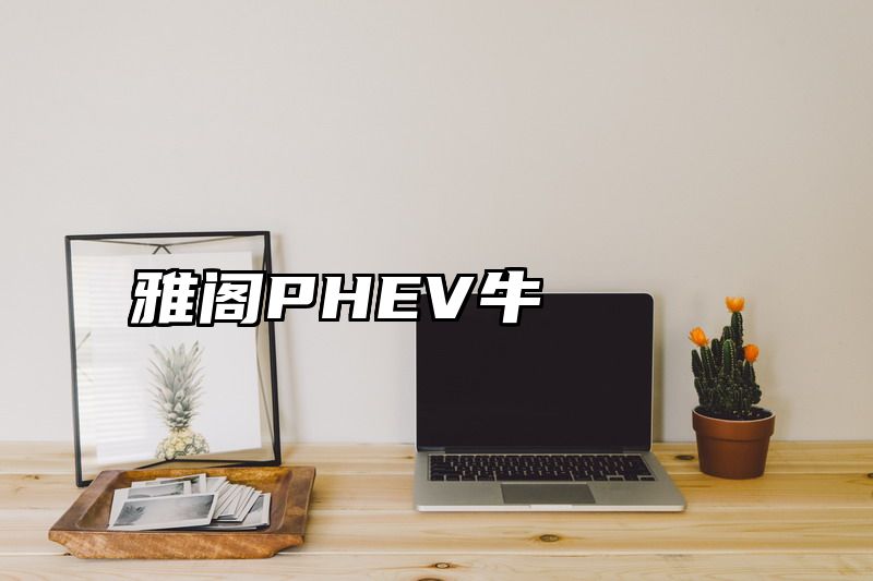 雅阁PHEV牛