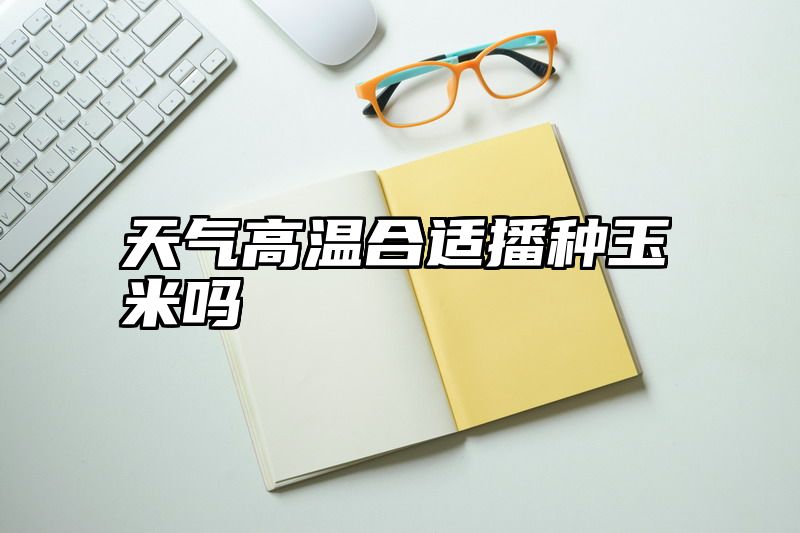 天气高温合适播种玉米吗