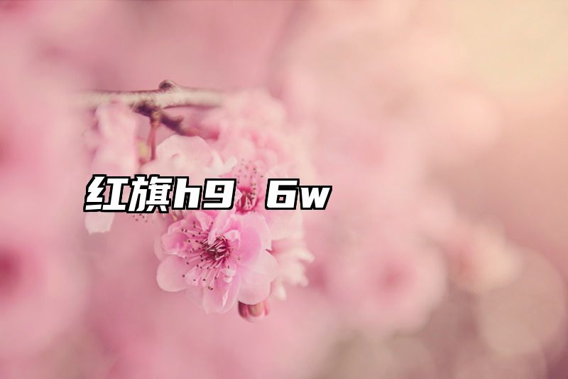 点击查看《红旗h9 6w》全文