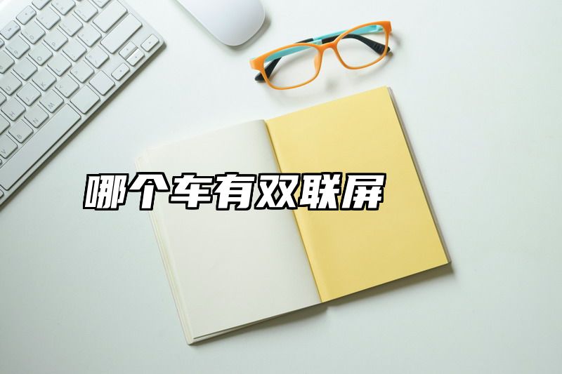 哪个车有双联屏