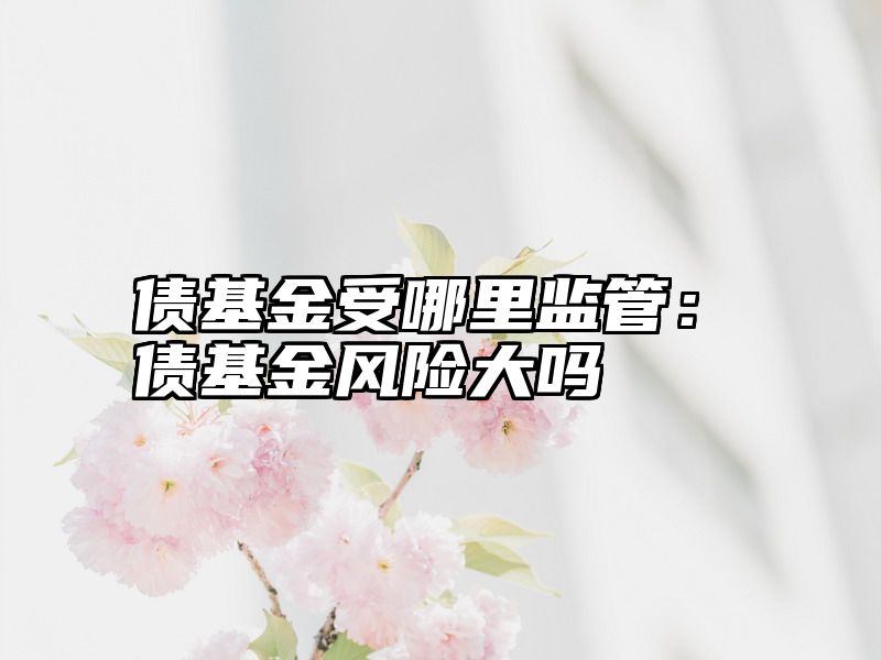 债基金受哪里监管：债基金风险大吗